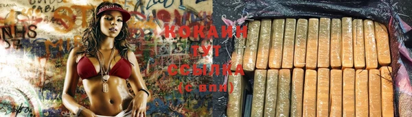 mdpv Верея
